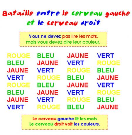 bataille entre le cerveau gauche et le cerveau droit.