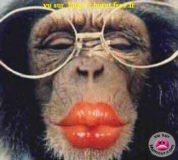 Singe